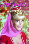 I Still Dream of Jeannie Movie Streaming Online