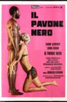 Il pavone nero Movie Streaming Online
