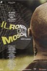 Il ronzio delle mosche Movie Streaming Online