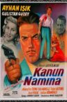 In the Name of the Law Movie Streaming Online
