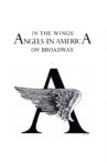 In the Wings: Angels in America On Broadway Movie Streaming Online