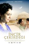 İncir Çekirdeği Movie Streaming Online