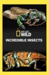 Incredible Insects Movie Streaming Online