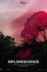 Inflorescence Movie Streaming Online