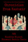 Information for/from Outsiders: Chronicles from Kashmir Movie Streaming Online