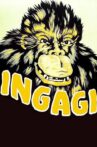 Ingagi Movie Streaming Online