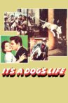 It's a Dog's Life Movie Streaming Online