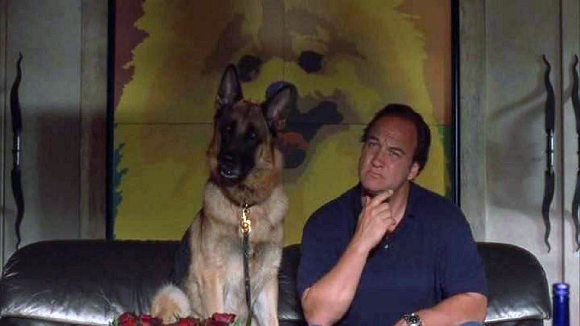 K 9 P I Movie Streaming Online Watch