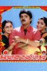 Kalyana Vaibhogam Movie Streaming Online
