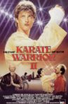 Karate Warrior 2 Movie Streaming Online