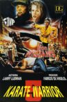 Karate Warrior 5 Movie Streaming Online