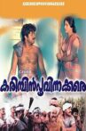 Karimpin Poovinakkare Movie Streaming Online