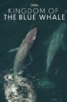 Kingdom of the Blue Whale Movie Streaming Online