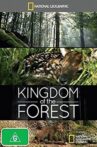 Kingdom of the Forest Movie Streaming Online