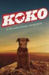 Koko: A Red Dog Story Movie Streaming Online