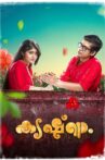 Krishnam Movie Streaming Online