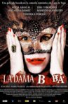 La dama boba Movie Streaming Online