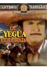 La yegua colorada Movie Streaming Online