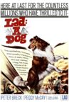 Lad: A Dog Movie Streaming Online