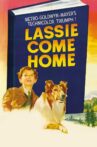 Lassie Come Home Movie Streaming Online