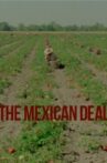 Le Deal mexicain Movie Streaming Online