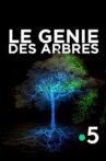 Le génie des arbres Movie Streaming Online