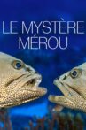 Le Mystère Mérou Movie Streaming Online