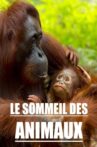 Le sommeil des animaux Movie Streaming Online