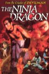 Legend of the Shadowy Ninja: The Ninja Dragon Movie Streaming Online