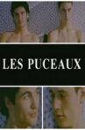 Les puceaux Movie Streaming Online