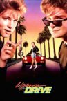 License to Drive Movie Streaming Online