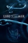 Life in the Air Movie Streaming Online