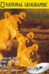 Lions of the African Night Movie Streaming Online