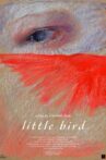 Little Bird Movie Streaming Online