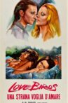 Love Birds Movie Streaming Online