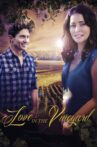 Love in the Vineyard Movie Streaming Online