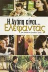 Love Is an Elephant Movie Streaming Online