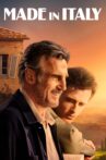 Made in Italy Movie Streaming Online