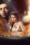 Mah e Mir Movie Streaming Online