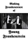 Making Frankensense of Young Frankenstein Movie Streaming Online