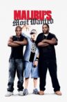 Malibu's Most Wanted Movie Streaming Online