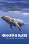 Mammifères marins - les maîtres des abysses Movie Streaming Online