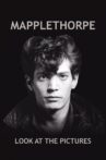 Mapplethorpe: Look at the Pictures Movie Streaming Online