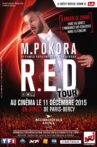 Matt Pokora -  Red Tour Movie Streaming Online