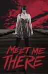 Meet Me There Movie Streaming Online