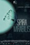 Miraculous Spiral Movie Streaming Online