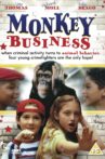 Monkey Business Movie Streaming Online