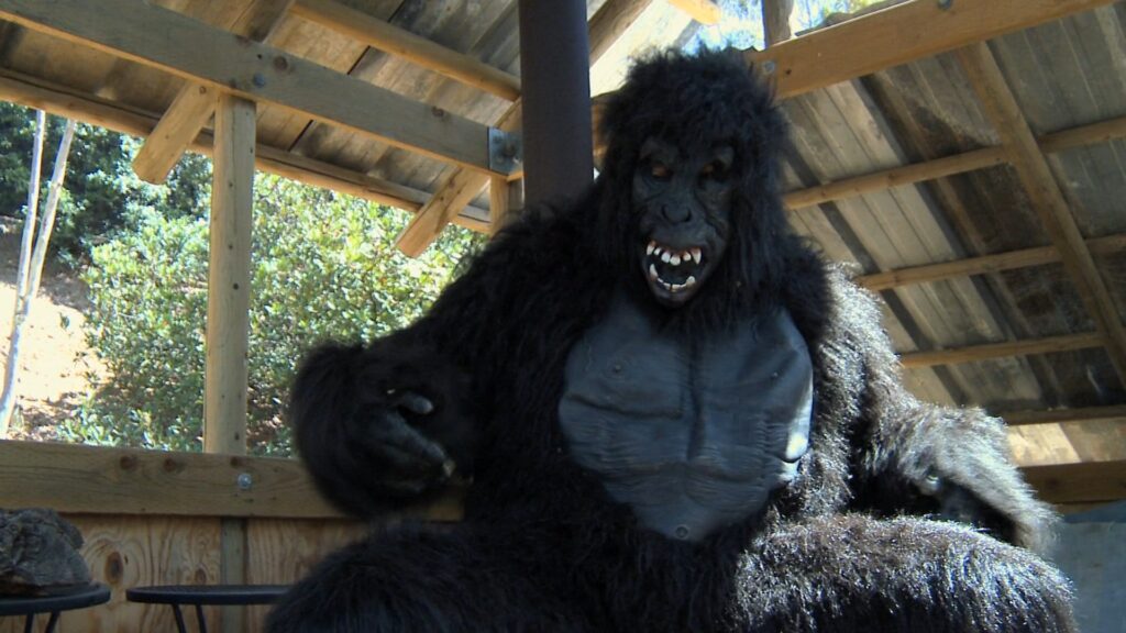 Monster of the Nudist Colony Movie Streaming Online Watch