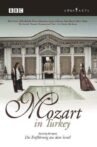 Mozart in Turkey Movie Streaming Online
