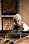 Mr Bernstein Movie Streaming Online